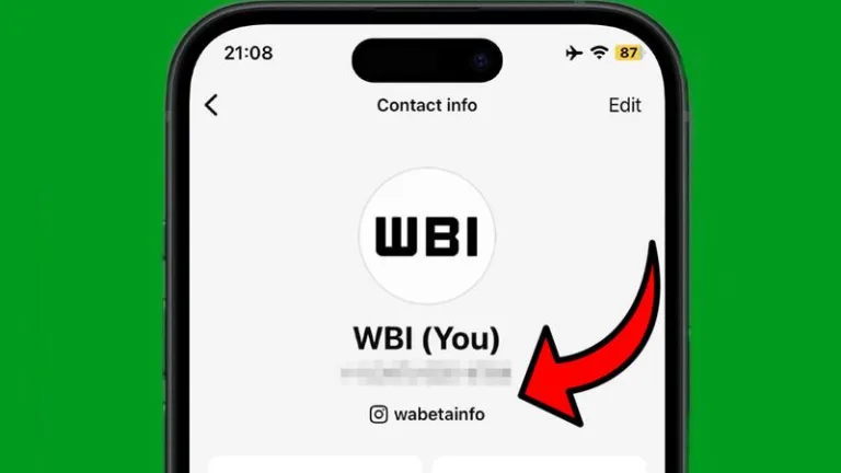 whatsapp profilinize instagram hesabı ekleme geliyor