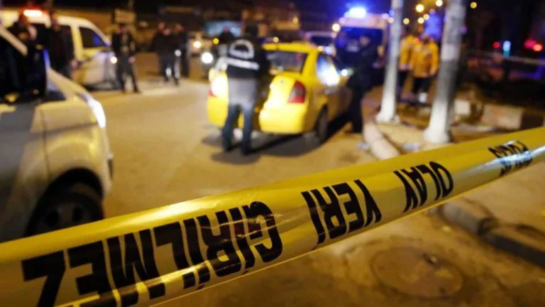 Van'da aile katliamı: Anne ve 2 oğlu hayatını kaybetti